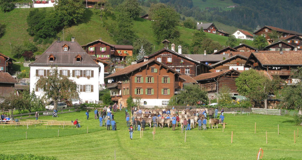 Traditioneller Viehmarkt in Jenaz