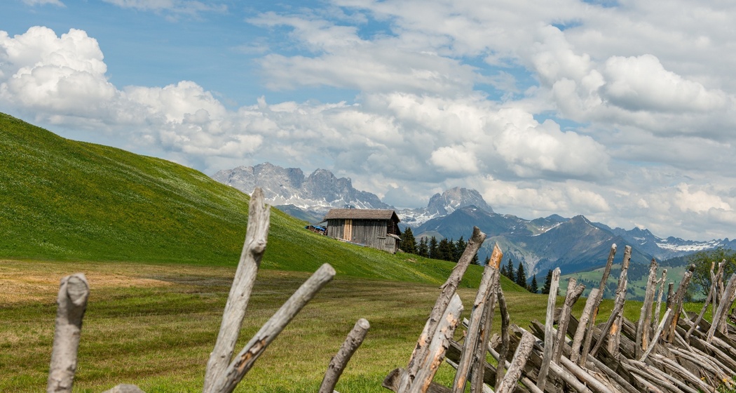 Furnerberg im Hintergrund der imposante Rätikon