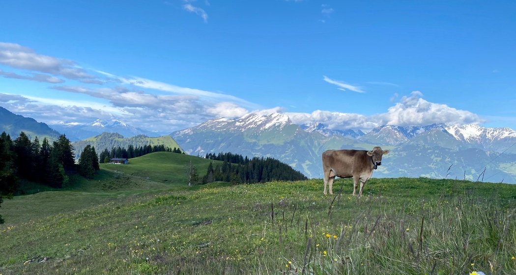 Grüsch (oua_67323363_image)