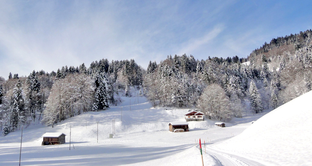 Weisse Landschaft um Seewis