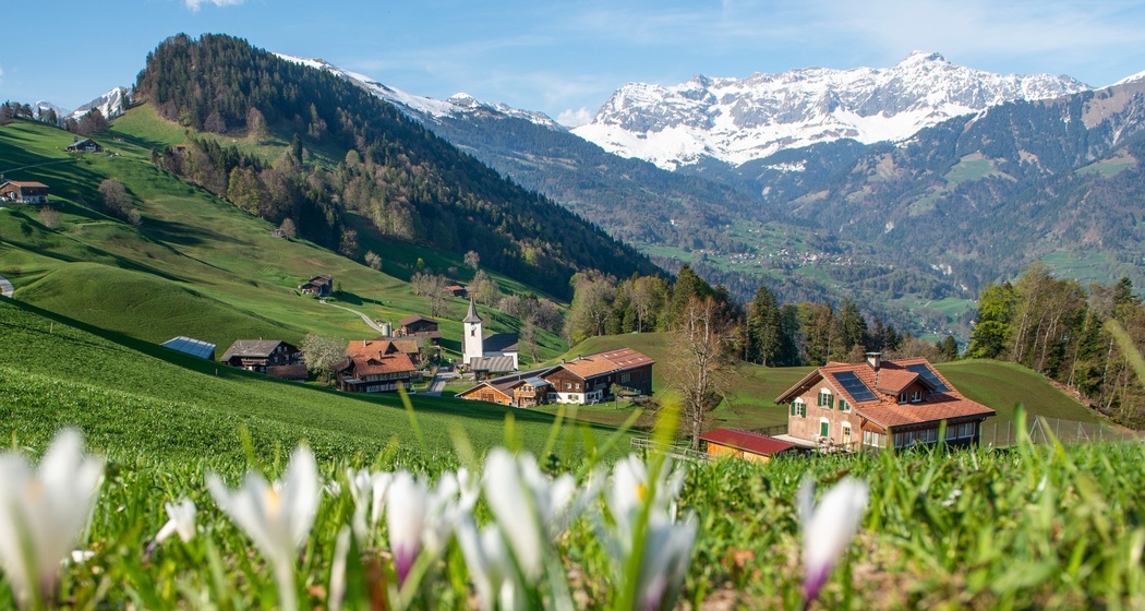 Valzeina (oua_67324204_image)