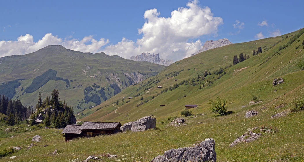 Höhenweg von der Madrisa übers Rätschenjoch nach St. Antönien (oua_67531273_image)