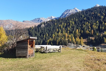 Grillstelle Marmorera Stausee (oua_67535134_image)