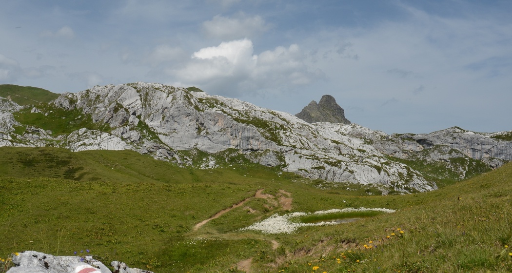 Gruobenpass-Plasseggenpass