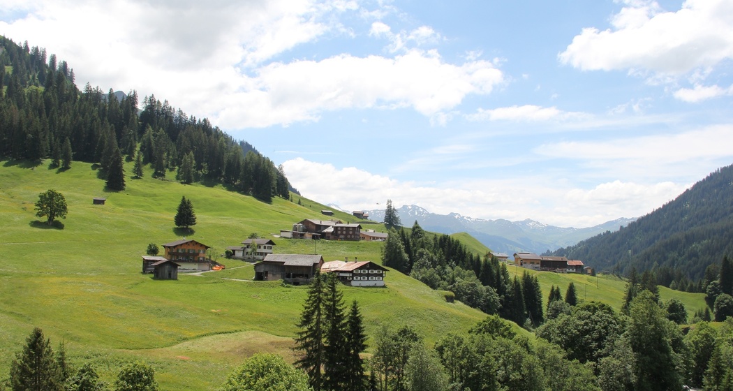 326 Bova (oua_67551795_image)