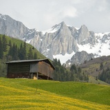 326 Bova (oua_67551796_image)