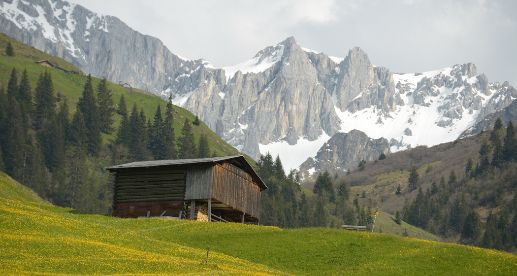 326 Bova (oua_67551796_image)