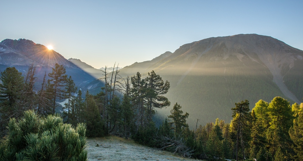 Schweizerische Nationalpark