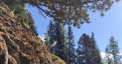 Rundwanderweg Darlux (oua_67676676_image)