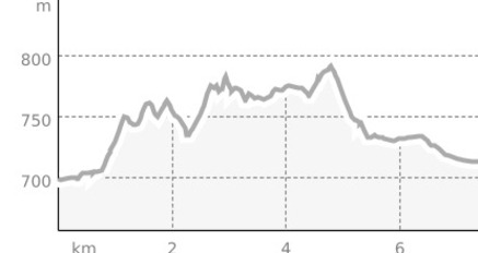 Kleines Rheinründali: Ilanz-Rueun-Polenweg-Ilanz (Gravel) (oua_67948328_f1e3878_profile)