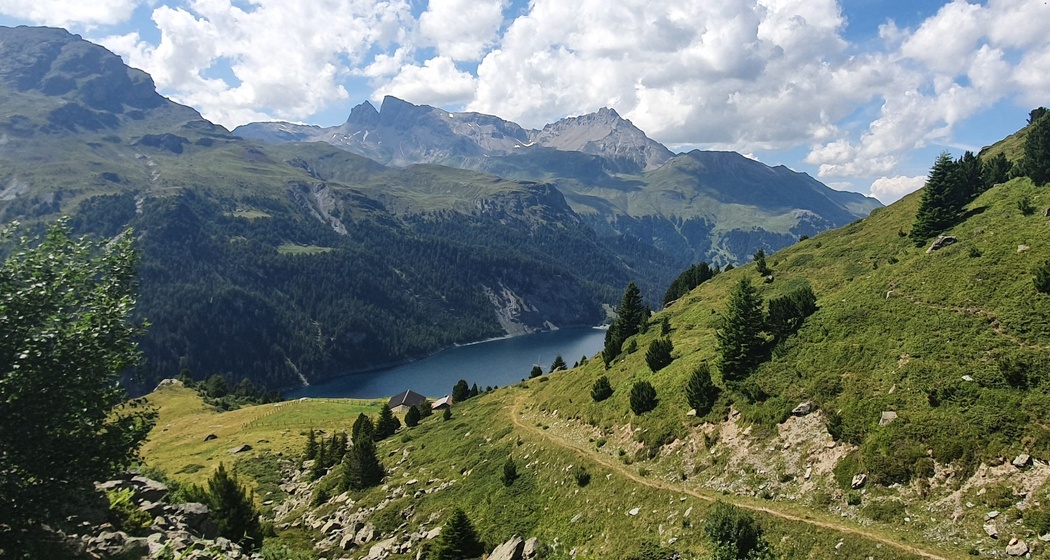Trailrun Bivio - Alp Natons - Bivio (oua_68150453_image)