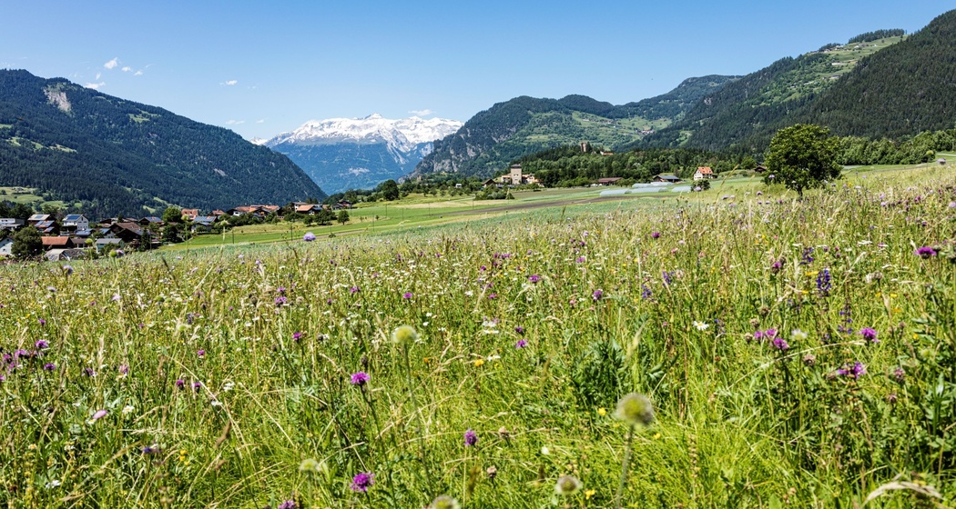 Pratval mit dem Schloss Rietberg