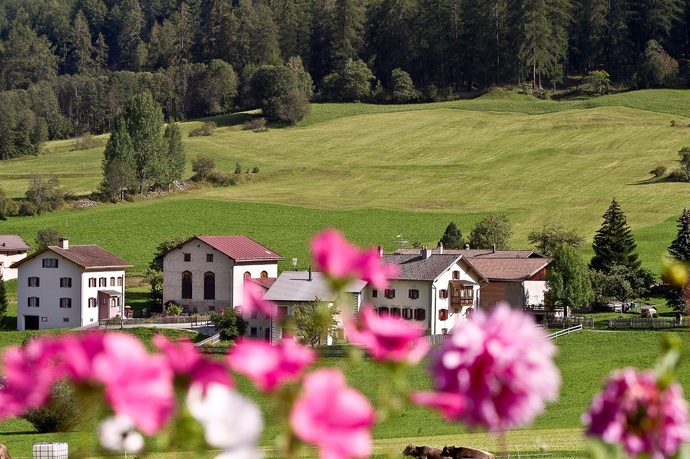 Escursione panoramica dal Passo Umbrail al Giogo di Santa Maria e poi a Valchava (oua_70173538_image)