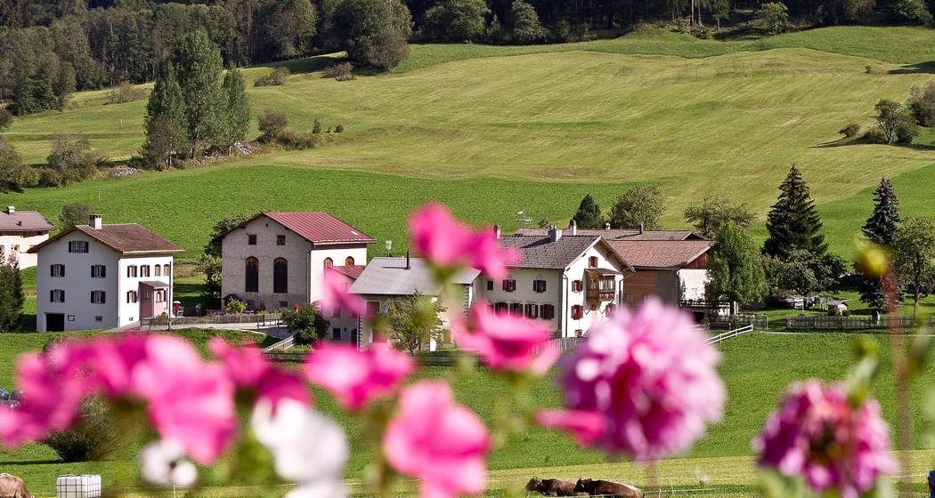 Aussichtsreiche Wanderung vom Umbrailpass zum Giogo di Santa Maria und weiter nach Valchava (oua_70173538_image)