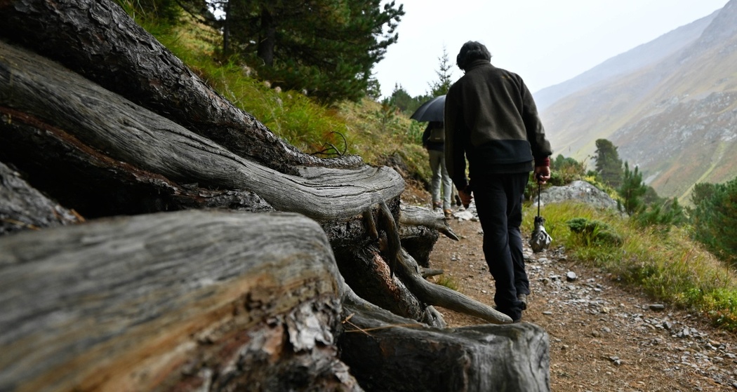 Wanderhörbuch Porchabella – Vogel der Freiheit