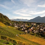 The Wakker Prize-winning village of Fläsch