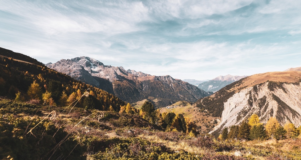 Ausblick vom Panoramaweg