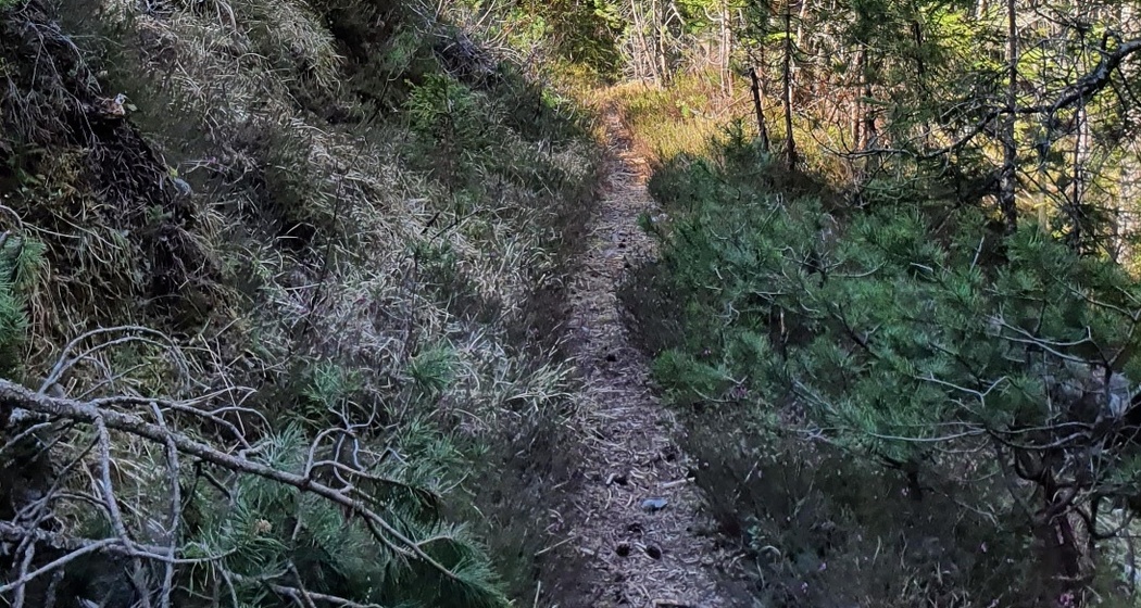 Trailrun leicht - Landwasserviadukt - Filisur (oua_70372895_image)