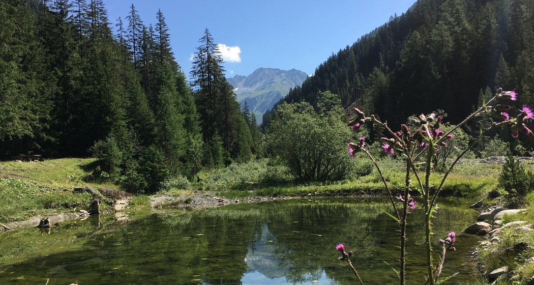 Trailrun mittel - Val Tuors - Panoramaweg (oua_70372987_image)