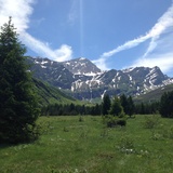 Rimboschimento Turrahus