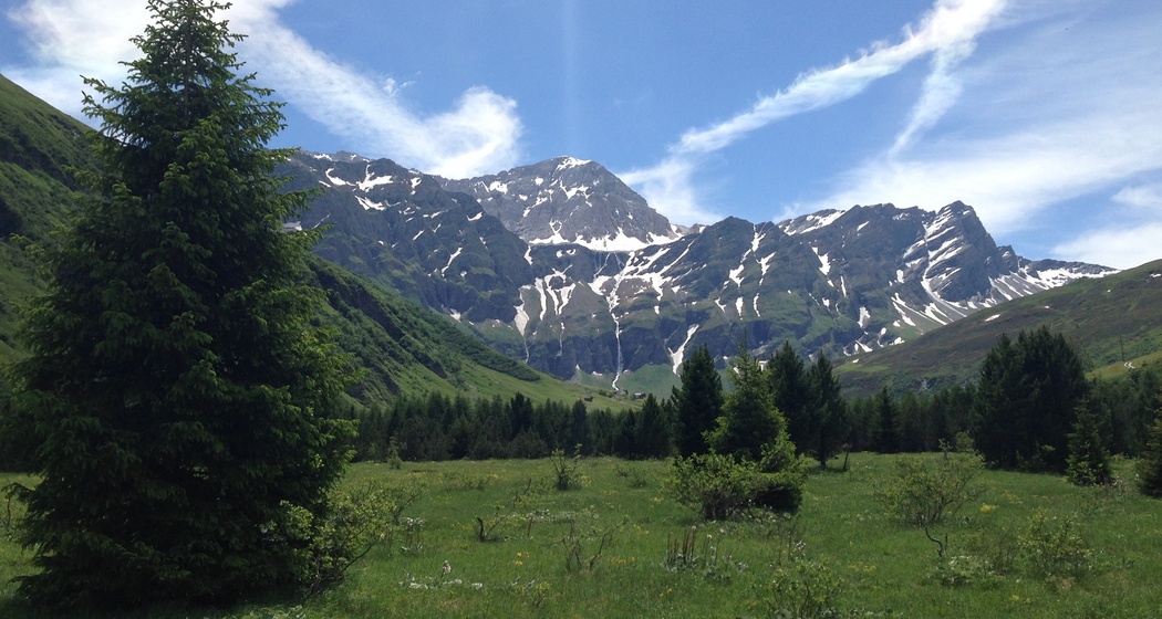 Aufforstung Turrahus