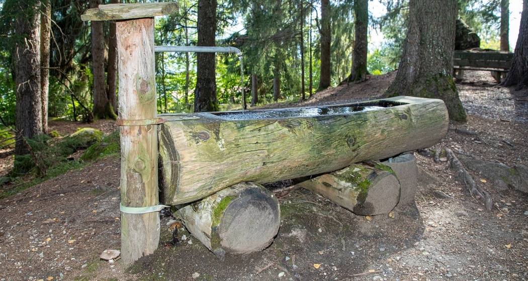 Die versteckte Burg (oua_70376179_image)