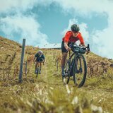 Auf diesem kurzen Singletrail-Abschnitt kannst du dein ganzes Können zeigen.