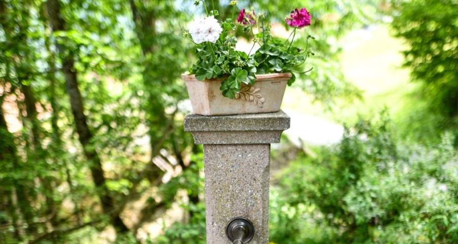 Feuerstelle Oberer Bach