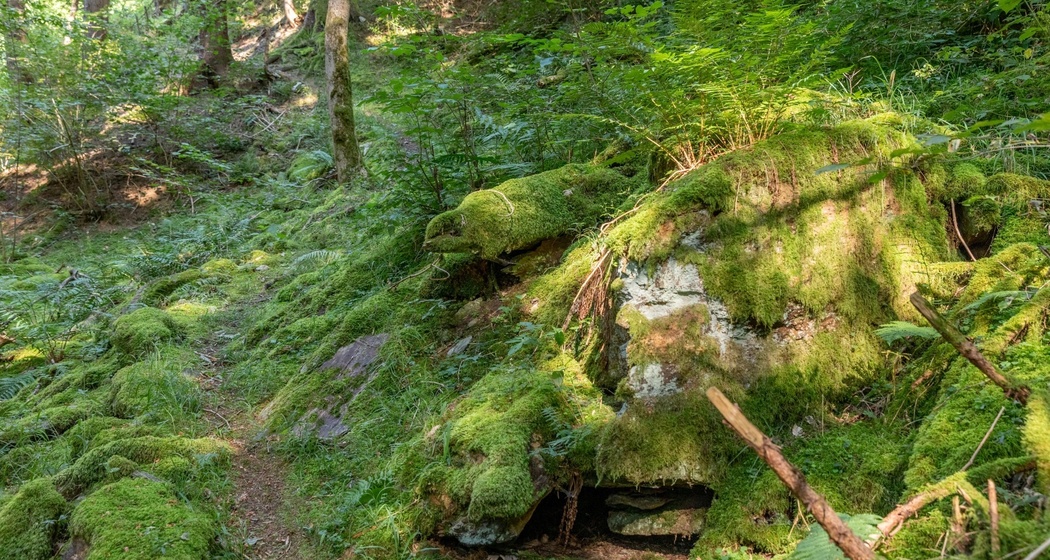 Erlebnisweg "Minas da Gulatsch" (oua_70433225_image)