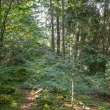 Sentier d'aventure "Minas da Gulatsch" (oua_70433226_image)