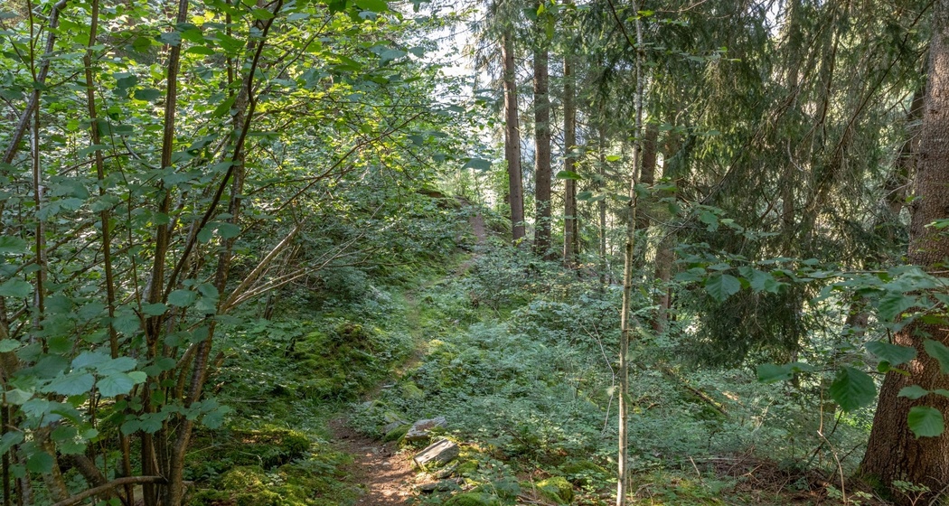 Erlebnisweg "Minas da Gulatsch" (oua_70433226_image)