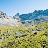Le paysage de tourbières autour de l'Alp Anarosa est d'importance nationale