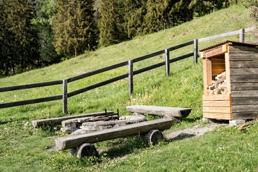 Camino Plaun da Glenna Almens