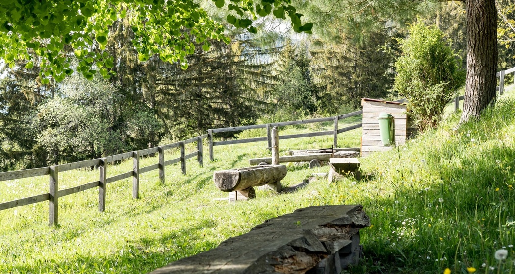 Feuerstelle Plaun da Glenna Almens