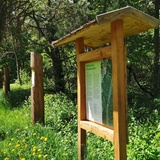 Parcours didactique dans la forêt Paradieswäldli à Ilanz