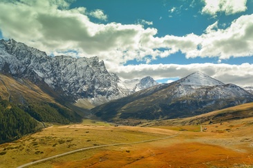 Radons (oua_70614876_image)