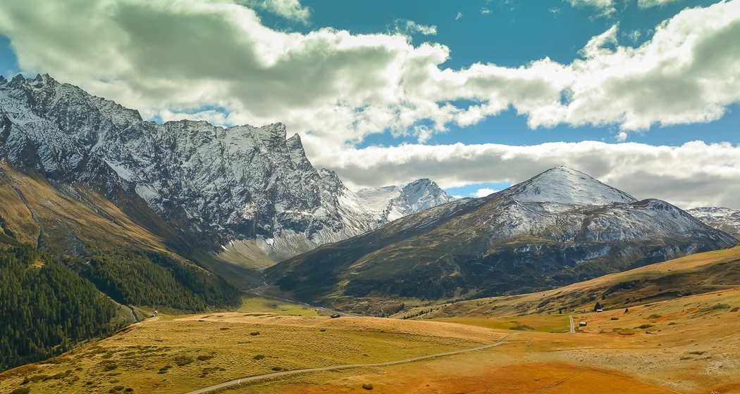 Radons (oua_70614876_image)