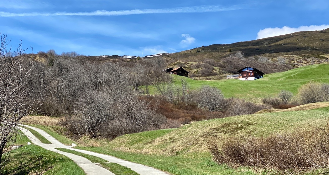 Purtschels Rtg Parsiras