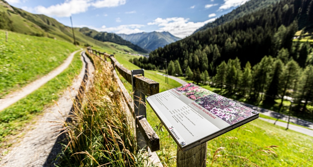 Pflanzenpfad Samnaun