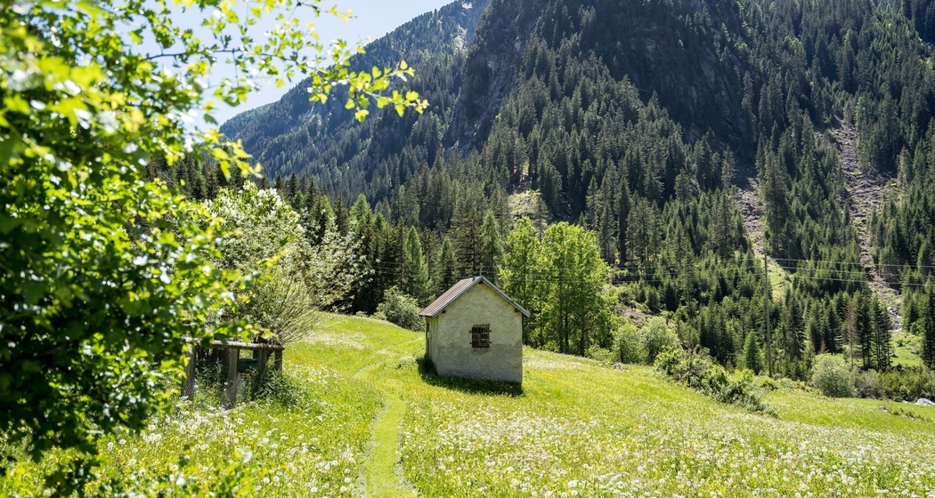 Rundwanderweg Ausserferrera