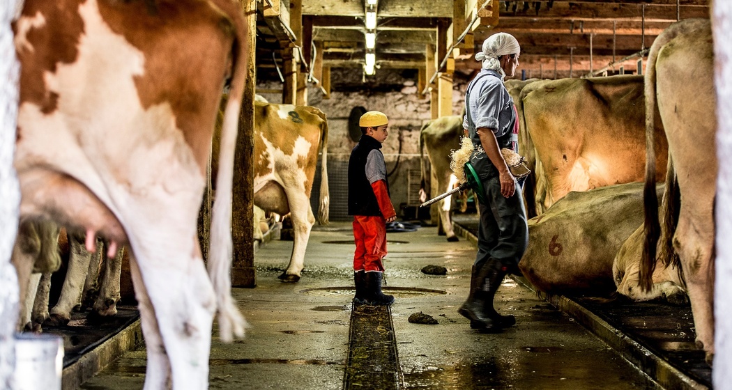 Alp Laisch (oua_71338799_image)