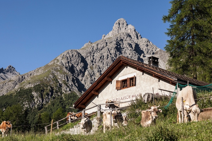 Alp Laisch (oua_71338804_image)