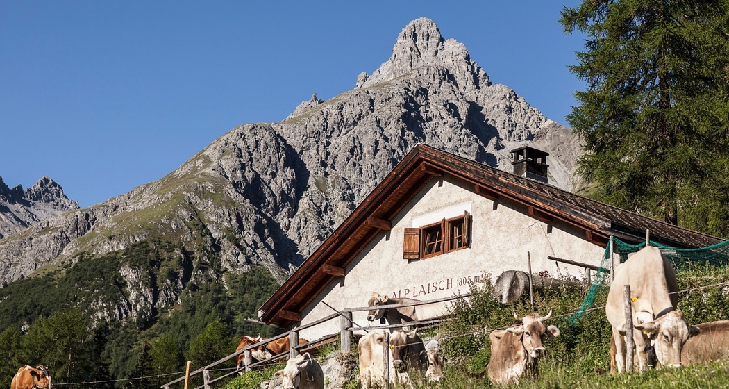 Alp Laisch (oua_71338804_image)