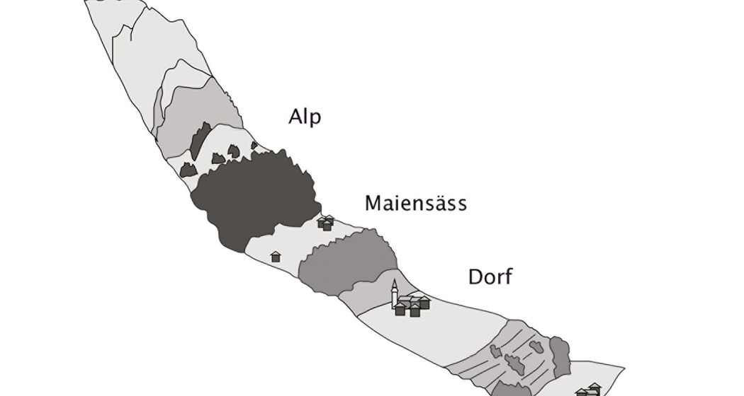 Höhenstufen im Albulatal