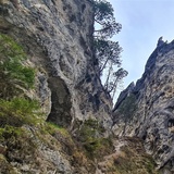 Bad Alvaneu- Zinols- Hof Las Sorts- Schmittnertobel (Wasserweg Ansaina Teil 2) (oua_71377730_image)