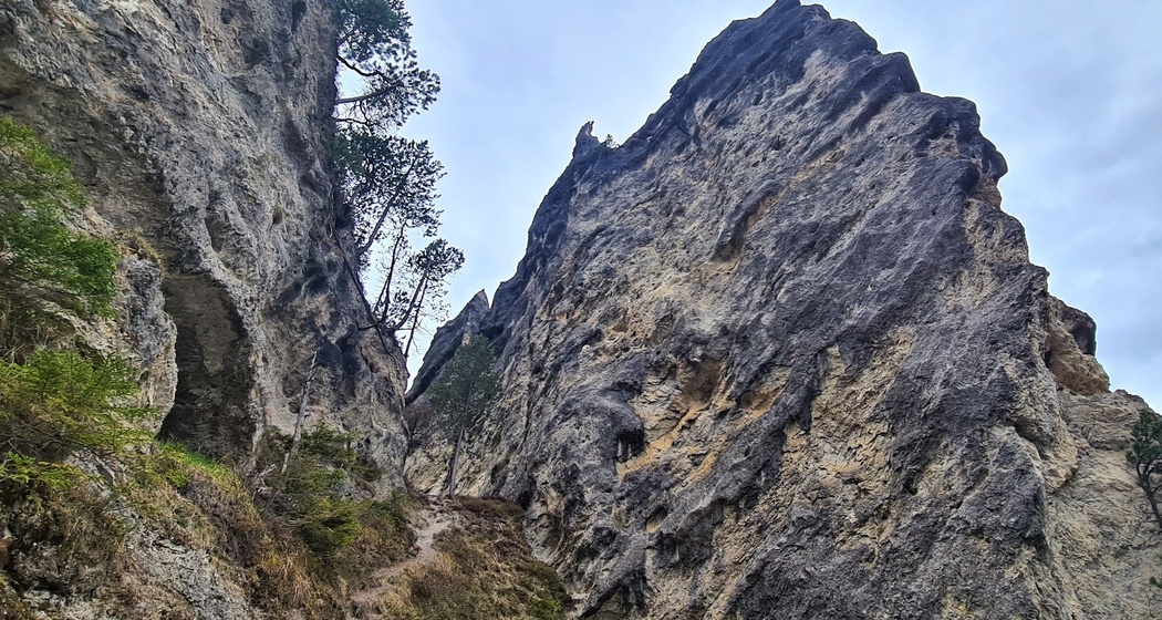 Grillstelle am Wasserweg (oua_71377730_image)