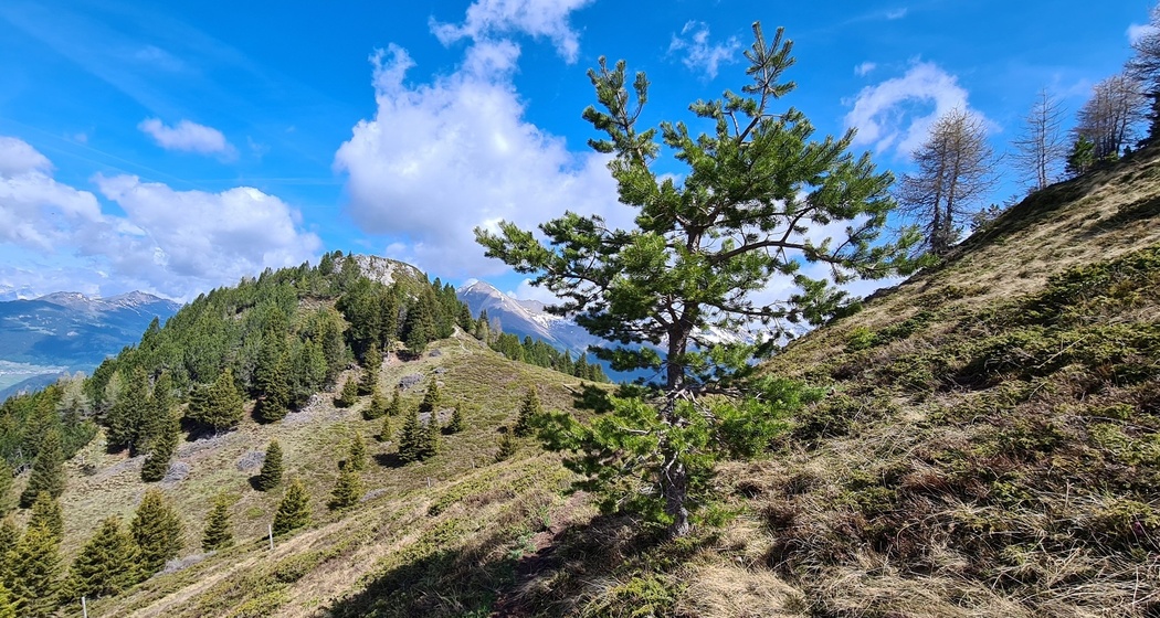 Aussichtspunkt Motta Palousa (oua_71379266_image)