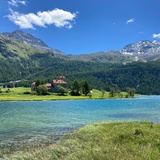 Silvaplanersee