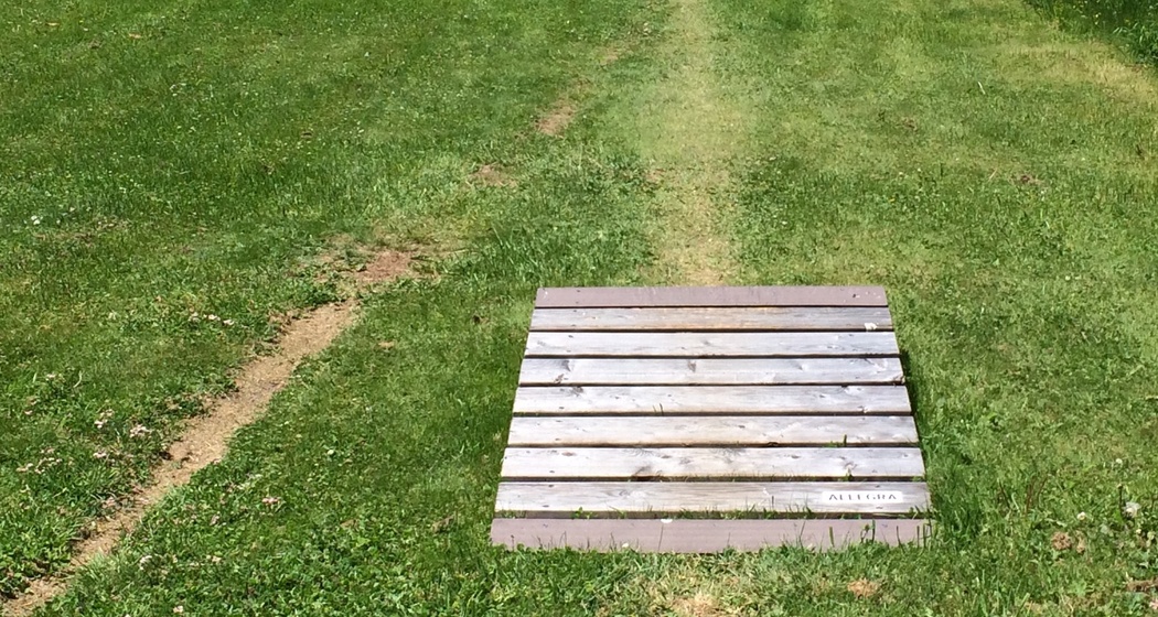 Skills Park Ovaverva