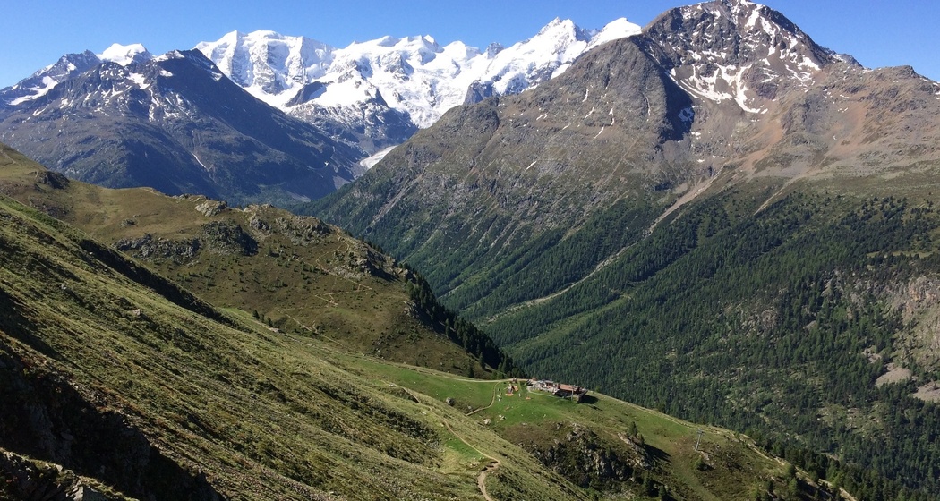 Ausblick auf den Piz Palü